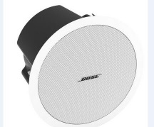  BOSE DS 100F